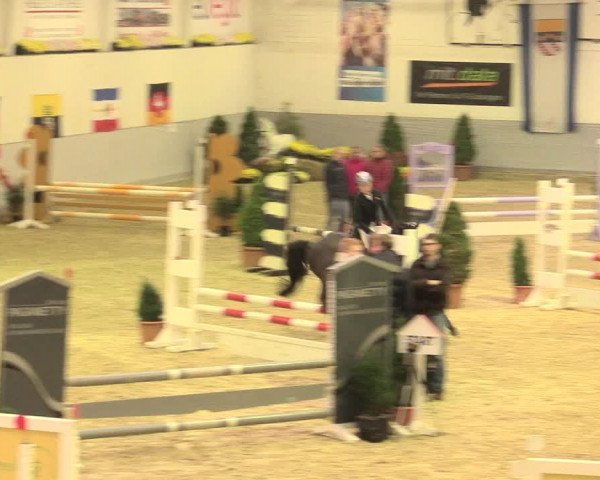 Legdener Ponymeeting 2016