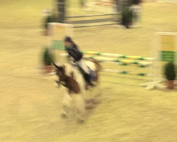 Legdener Ponymeeting 2016