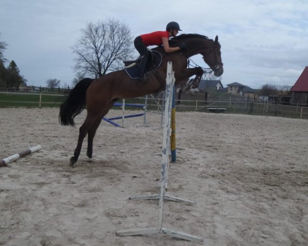 jumper C'est la Vie Charlie (Bavarian, 2011, from Conthargos)