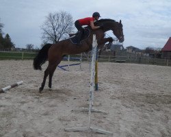 jumper C'est la Vie Charlie (Bavarian, 2011, from Conthargos)