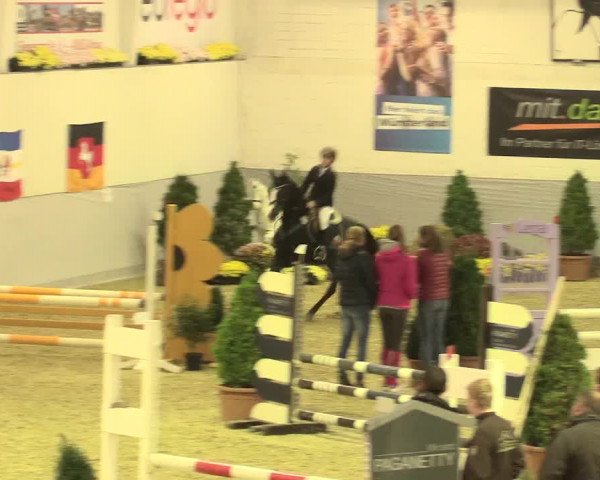 Legdener Ponymeeting 2016