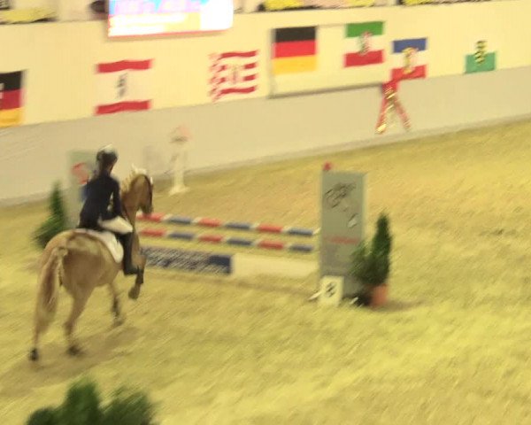 Legdener Ponymeeting 2016