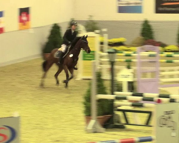 Legdener Ponymeeting 2016