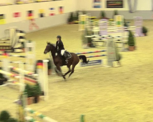 Legdener Ponymeeting 2016