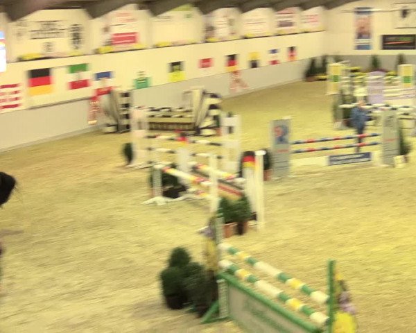 Legdener Ponymeeting 2016