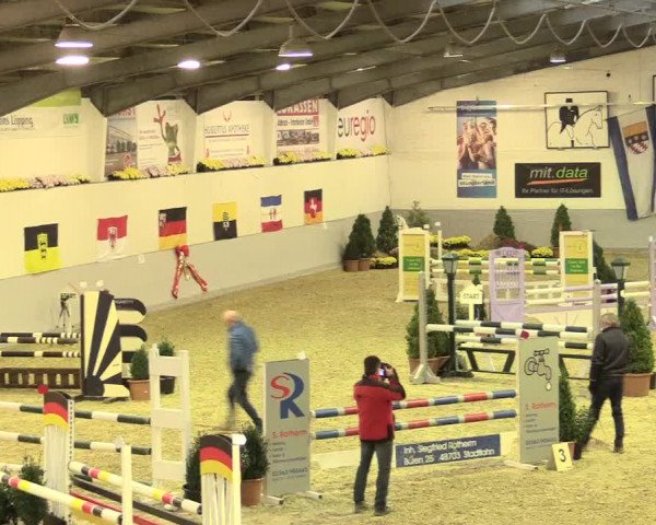 Legdener Ponymeeting 2016