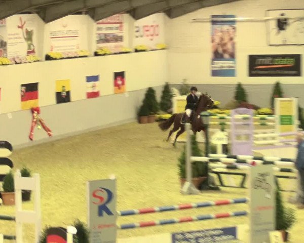 Legdener Ponymeeting 2016