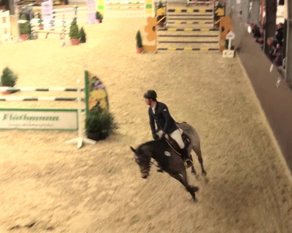 Legdener Ponymeeting 2016