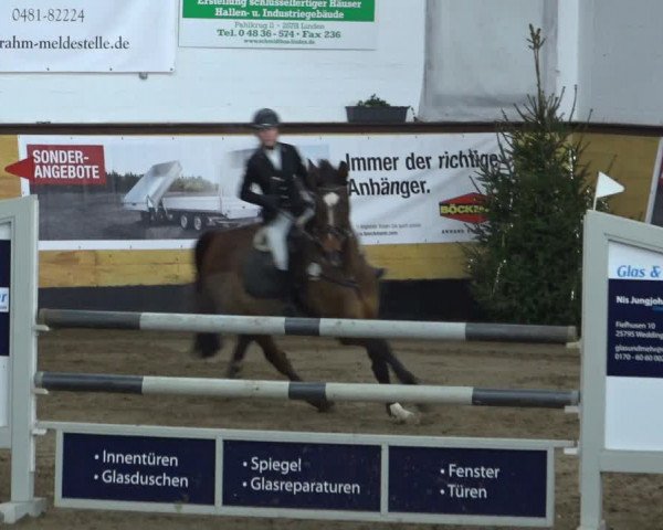 Reitturnier Heide 2021