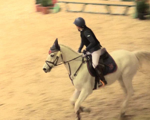 Legdener Ponymeeting 2016