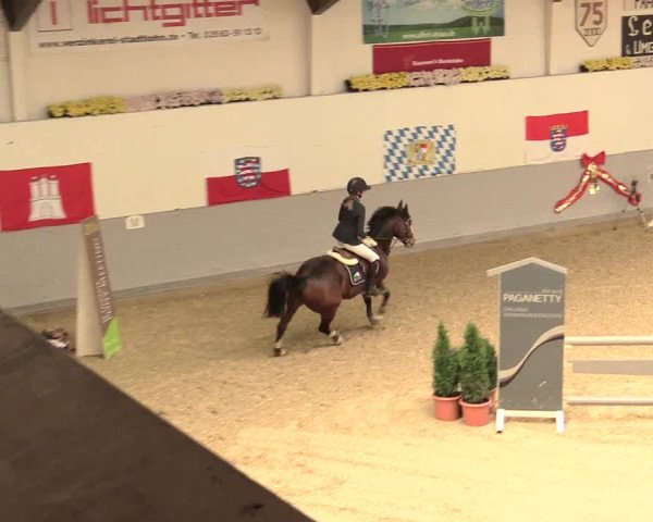 Legdener Ponymeeting 2016