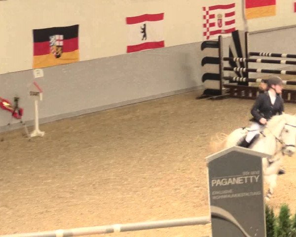 Legdener Ponymeeting 2016