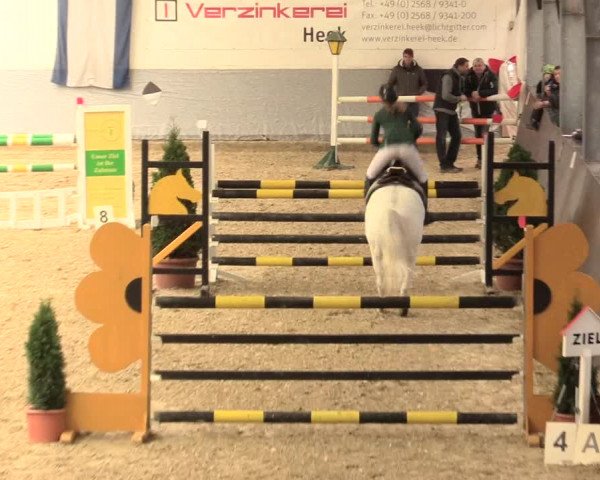 Legdener Ponymeeting 2016