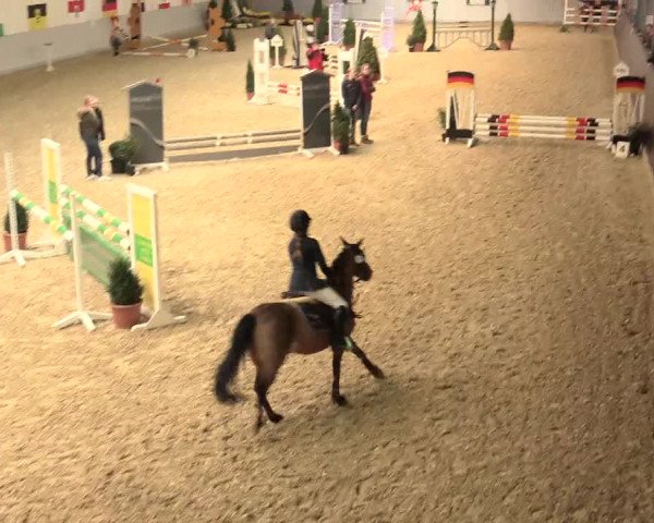 Legdener Ponymeeting 2016