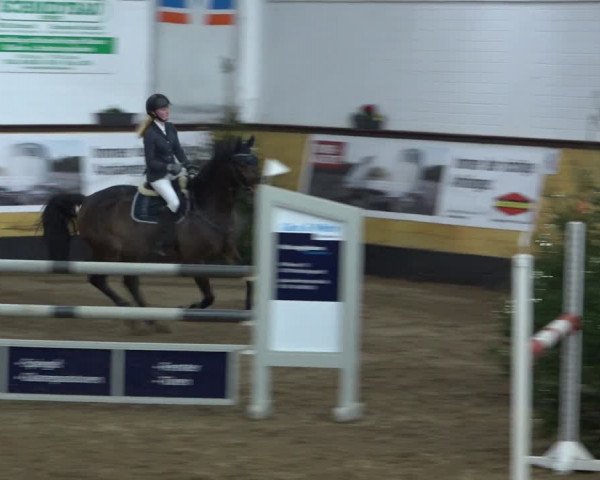 Reitturnier Heide 2021