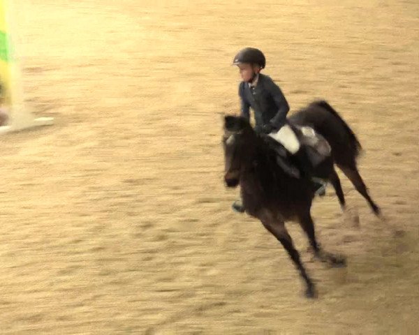 Legdener Ponymeeting 2016
