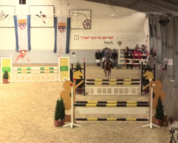 Legdener Ponymeeting 2016
