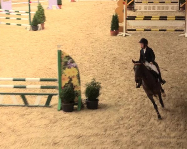 Legdener Ponymeeting 2016