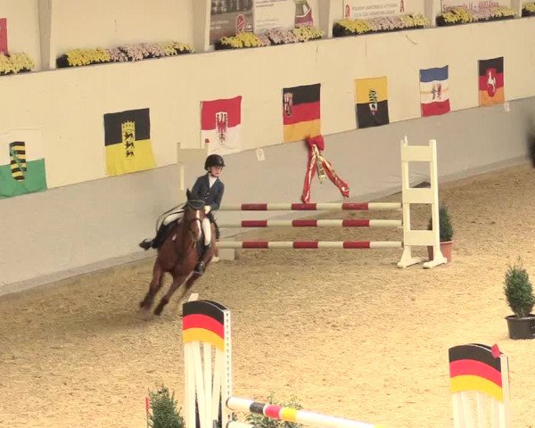 Legdener Ponymeeting 2016