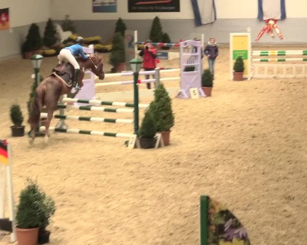 Legdener Ponymeeting 2016