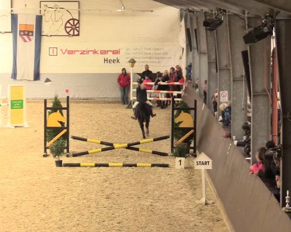 Legdener Ponymeeting 2016