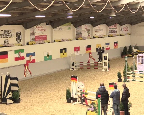 Legdener Ponymeeting 2016