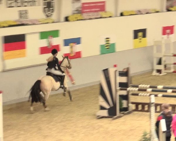 Legdener Ponymeeting 2016