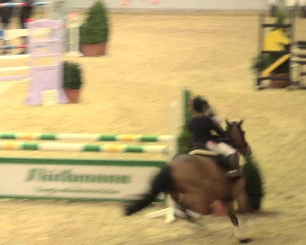 Legdener Ponymeeting 2016