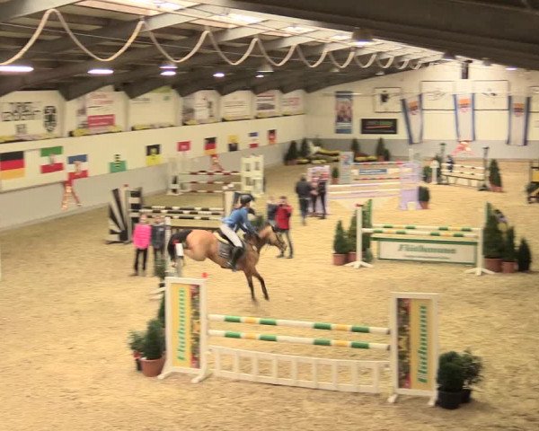Legdener Ponymeeting 2016