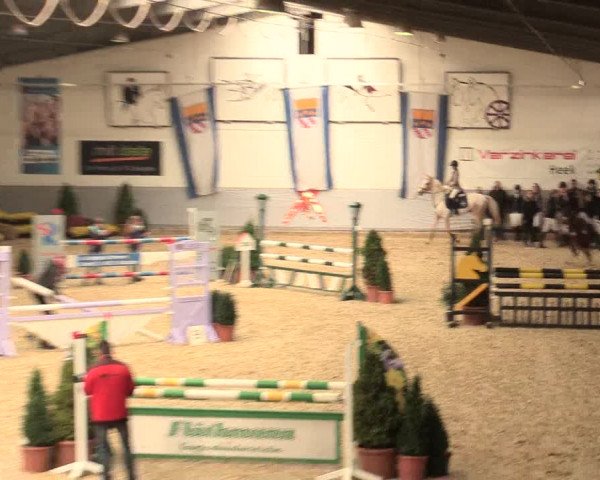 Legdener Ponymeeting 2016