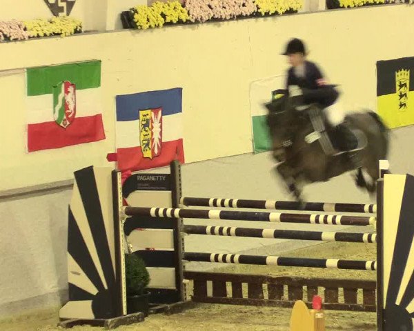 Legdener Ponymeeting 2016