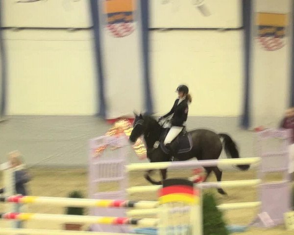 Legdener Ponymeeting 2016