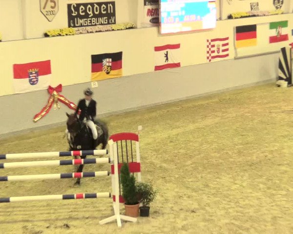 Legdener Ponymeeting 2016