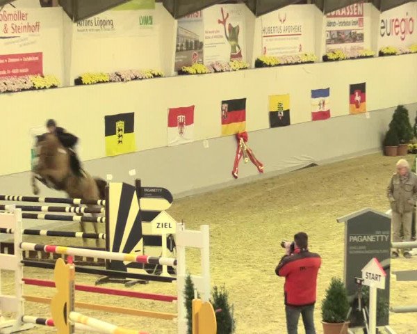 Legdener Ponymeeting 2016