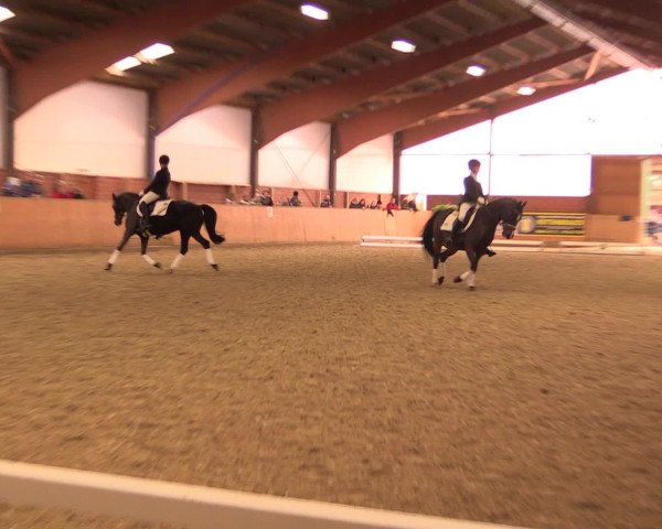 Reitturnier Iserlohn-Kalthof 2016