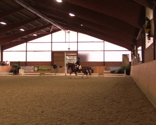 Reitturnier Iserlohn-Kalthof 2016