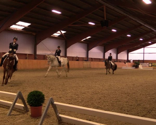 Reitturnier Iserlohn-Kalthof 2016