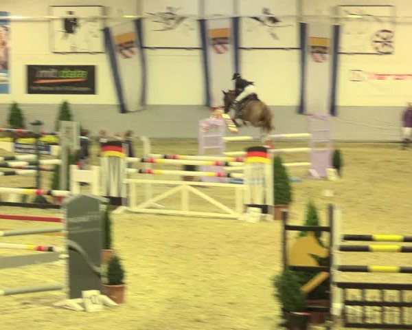 Legdener Ponymeeting 2016