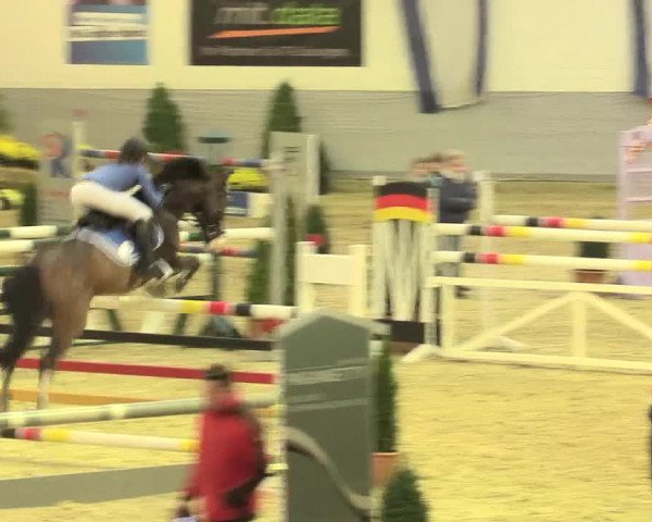 Legdener Ponymeeting 2016