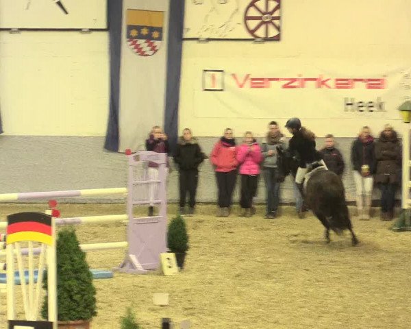 Legdener Ponymeeting 2016