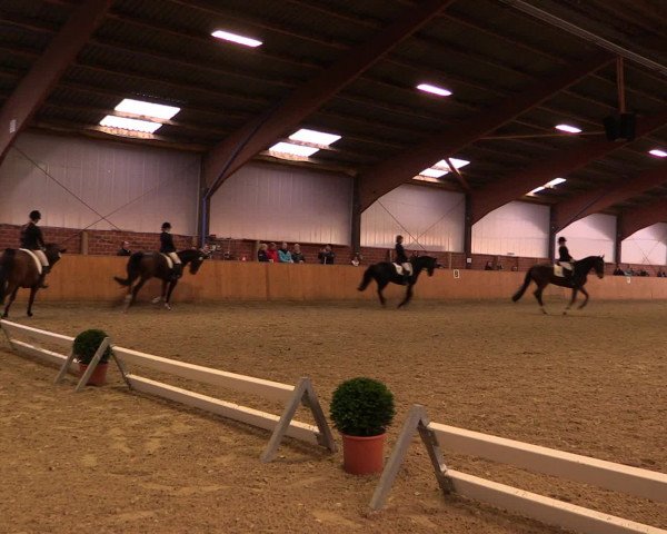 Reitturnier Iserlohn-Kalthof 2016
