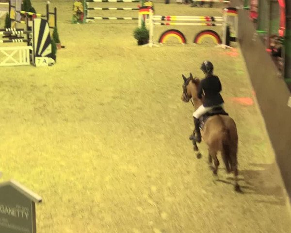 Legdener Ponymeeting 2016