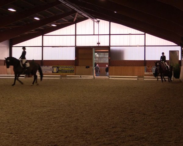 Reitturnier Iserlohn-Kalthof 2016