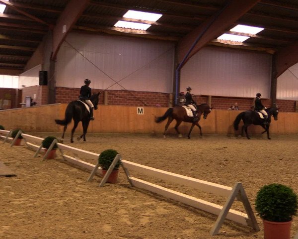 Reitturnier Iserlohn-Kalthof 2016