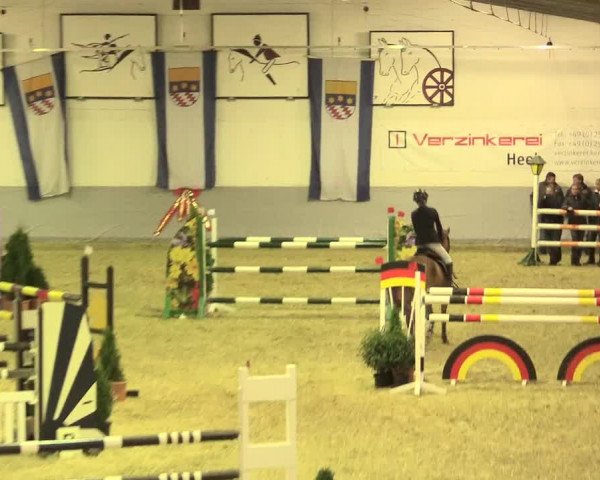 Legdener Ponymeeting 2016