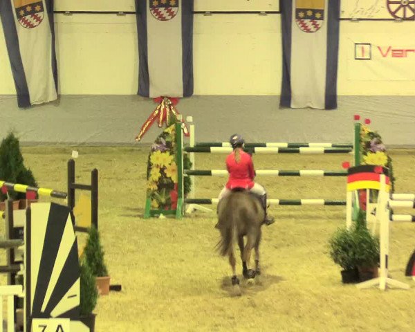 Legdener Ponymeeting 2016