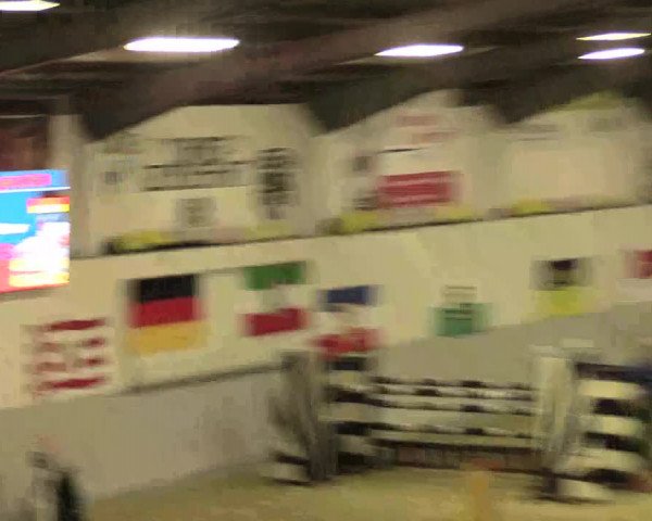 Legdener Ponymeeting 2016