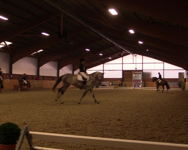 Reitturnier Iserlohn-Kalthof 2016