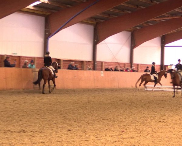 Reitturnier Iserlohn-Kalthof 2016