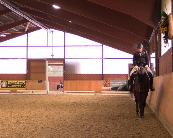 Reitturnier Iserlohn-Kalthof 2016